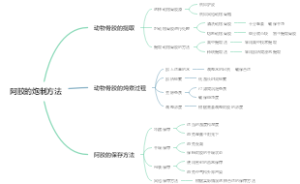 阿胶的炮制方法