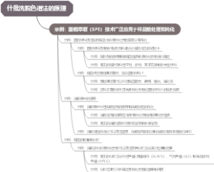 什批洗脱色谱法的原理