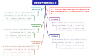 原发性支气管肺癌辨证分型