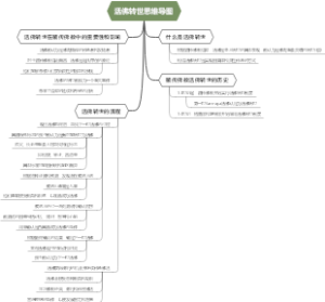 活佛转世思维导图