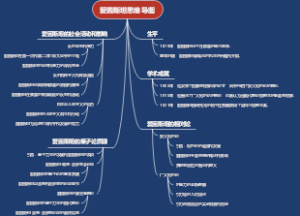 爱因斯坦思维导图