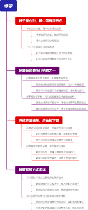 绿萝