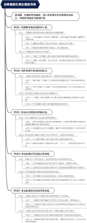 白细胞的主要功能及作用