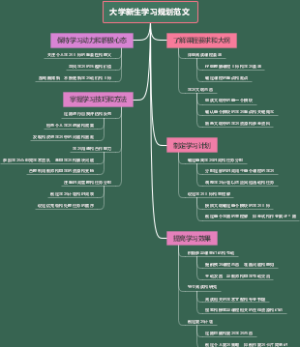 大学新生学习规划范文