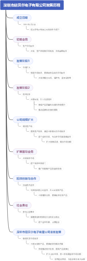 深圳市纽贝尔电子有限公司发展历程