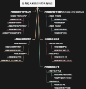 最新的大熊猫百科知识有哪些