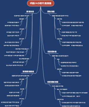 术前24小时内的准备