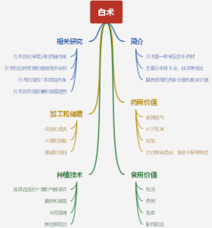 白术