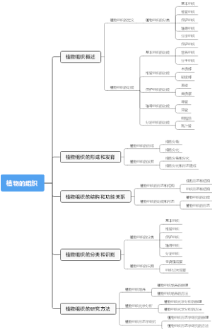 植物的组织