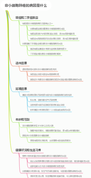 非小细胞肺癌的病因是什么