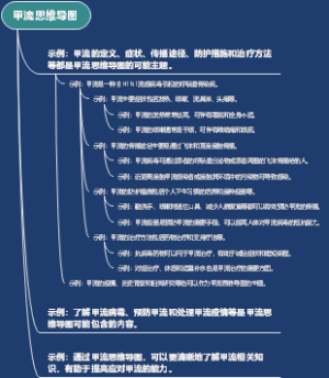 甲流思维导图