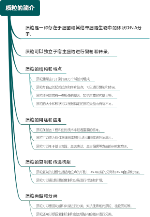 质粒的简介