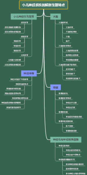 小儿神经系统的解剖生理特点