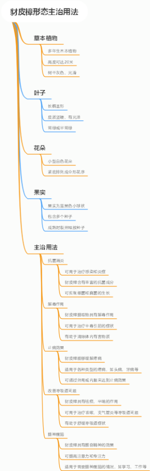 豺皮樟形态主治用法