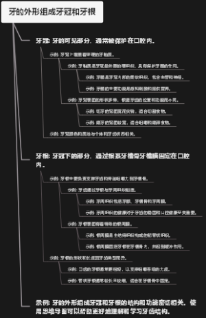 牙的外形组成牙冠和牙根