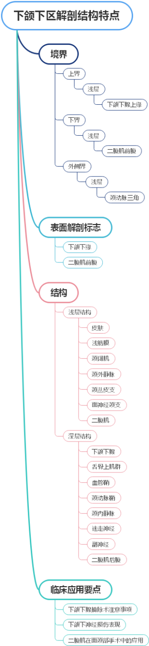 下颌下区解剖结构特点