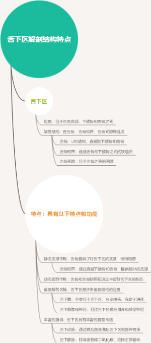 舌下区解剖结构特点