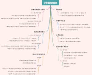心音遥远的鉴别