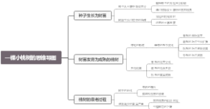 一棵小桃树的思维导图