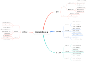 思维导图我的未来
