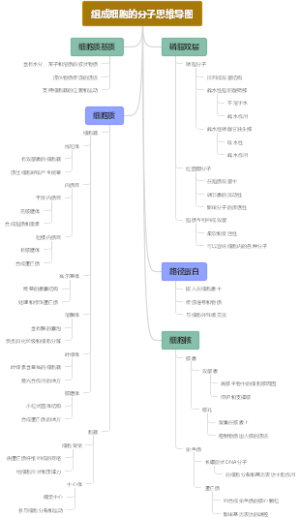 组成细胞的分子思维导图
