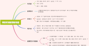 摔跤吧爸爸思维导图