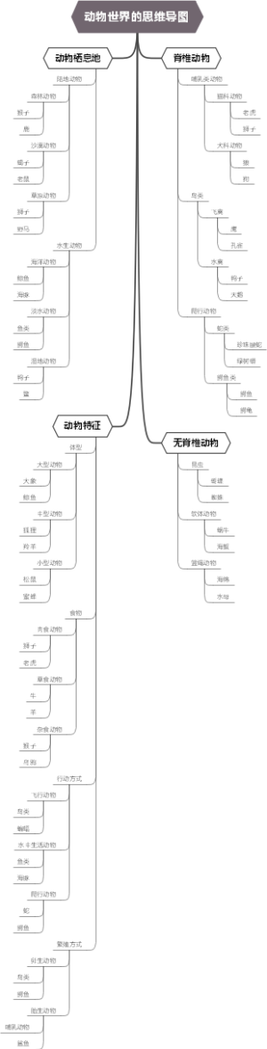 动物世界的思维导图