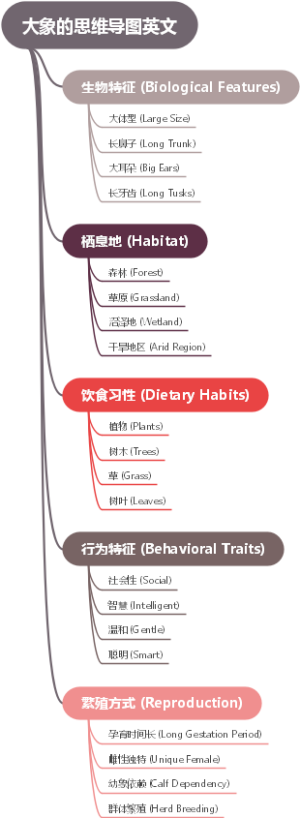 大象的思维导图英文