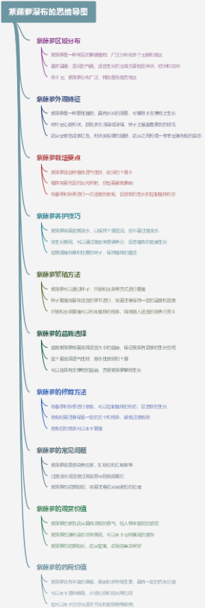 紫藤萝瀑布的思维导图