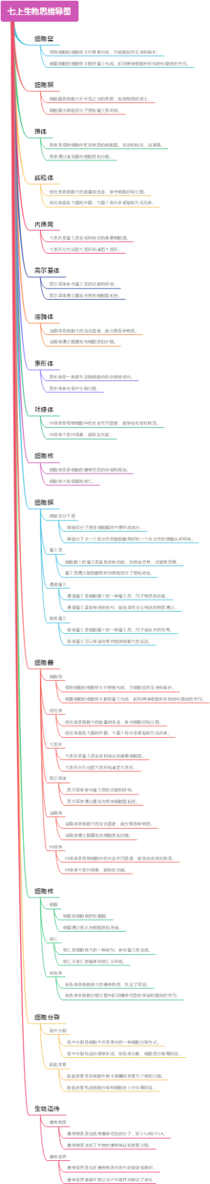 七上生物思维导图