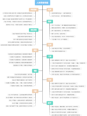 人体思维导图