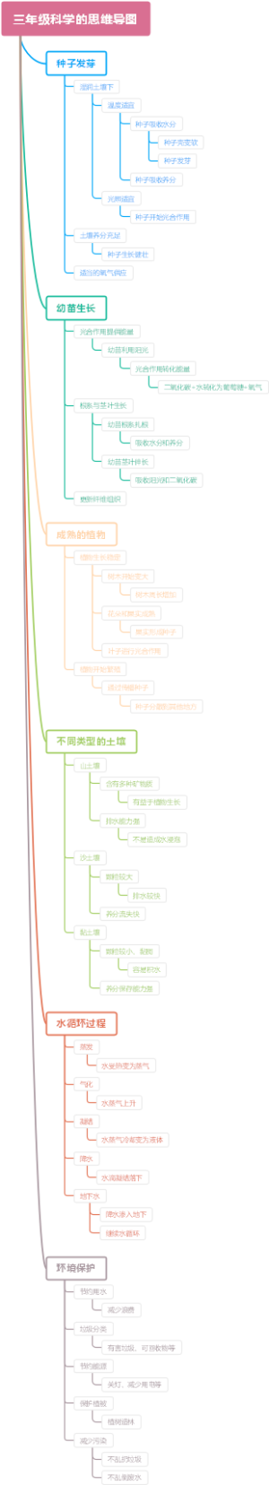 三年级科学的思维导图