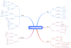 六年级学生思维导图