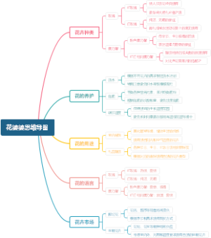 花婆婆思维导图