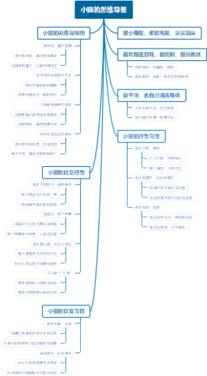 小猫的思维导图