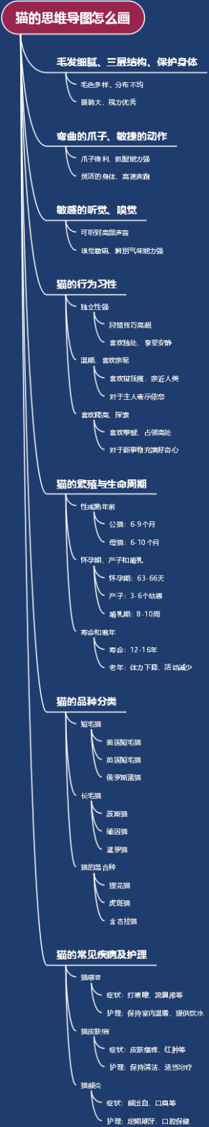 猫的思维导图怎么画
