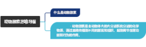 压力压强思维导图