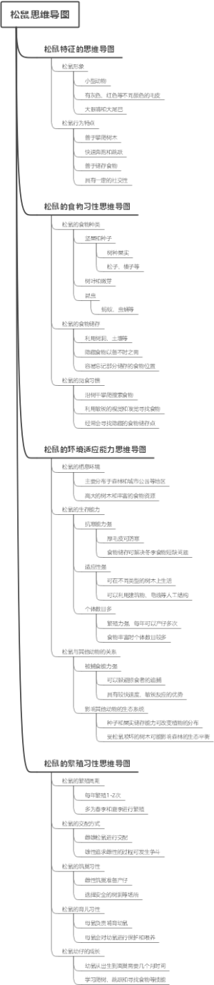 松鼠思维导图