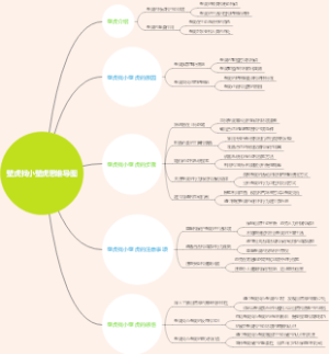 壁虎找小壁虎思维导图
