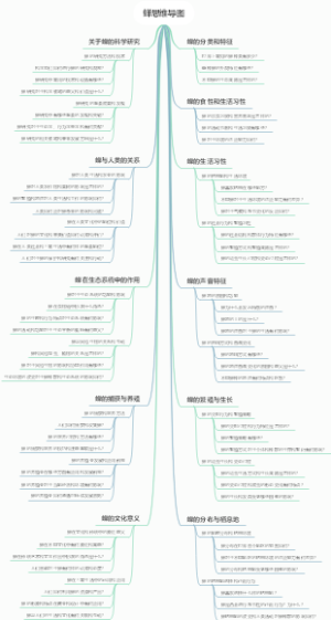 蝉思维导图