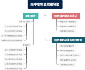 高中生物的思维导图