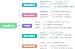 手的思维导图