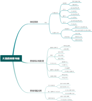 大脑的思维导图