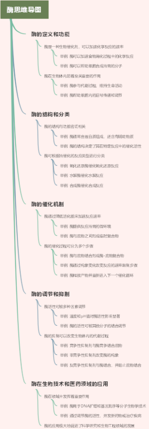 酶思维导图