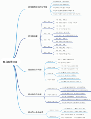 昆虫思维导图