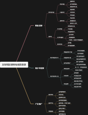 足球规划思维导图简单版