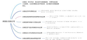 麻黄的功能应用