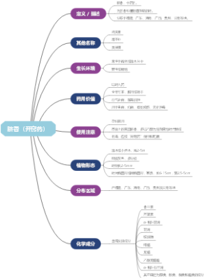 脐香（开窍药）