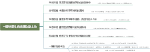 一颗针原生态来源功能主治