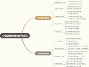 心电监测操作要点及评估要点